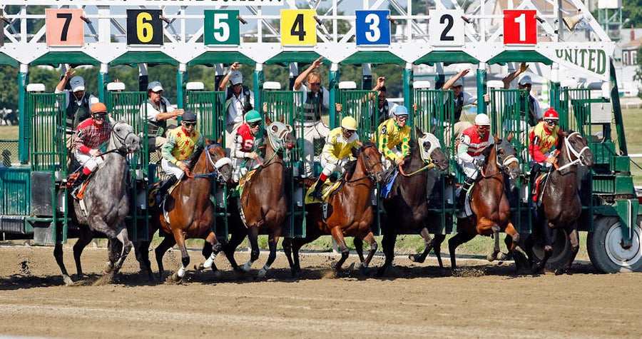 Cheltenham Festival 2027